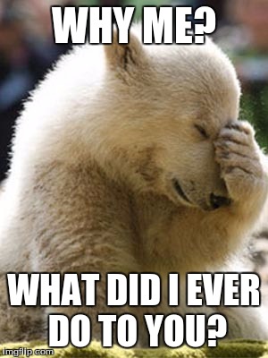 Facepalm Bear | WHY ME? WHAT DID I EVER DO TO YOU? | image tagged in memes,facepalm bear | made w/ Imgflip meme maker