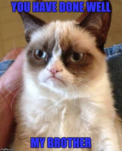 Grumpy Cat Meme | YOU HAVE DONE WELL MY BROTHER | image tagged in memes,grumpy cat | made w/ Imgflip meme maker
