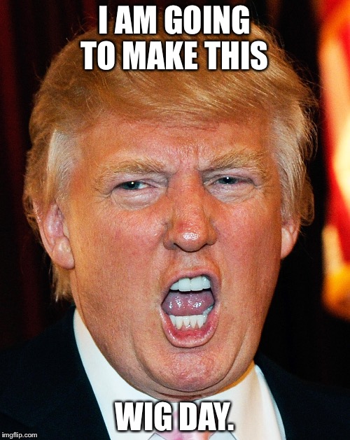 Donald Trump I Will Duck You Up | I AM GOING TO MAKE THIS; WIG DAY. | image tagged in donald trump i will duck you up | made w/ Imgflip meme maker