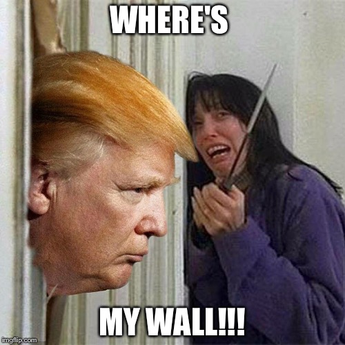 Donald trump here's Donny | WHERE'S; MY WALL!!! | image tagged in donald trump here's donny | made w/ Imgflip meme maker