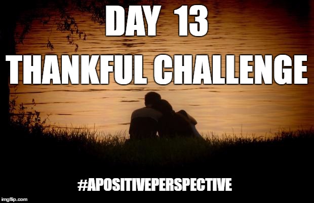 Love | DAY  13; THANKFUL CHALLENGE; #APOSITIVEPERSPECTIVE | image tagged in love | made w/ Imgflip meme maker