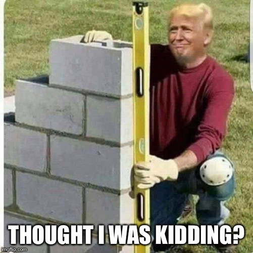 Building the wall  | THOUGHT I WAS KIDDING? | image tagged in trump | made w/ Imgflip meme maker