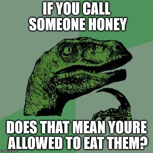 Philosoraptor | IF YOU CALL SOMEONE HONEY; DOES THAT MEAN YOURE ALLOWED TO EAT THEM? | image tagged in memes,philosoraptor | made w/ Imgflip meme maker