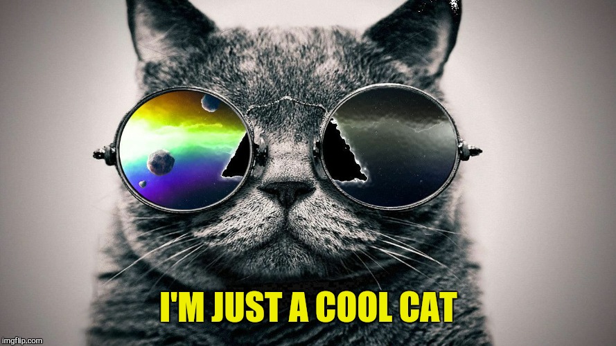 I'M JUST A COOL CAT | made w/ Imgflip meme maker