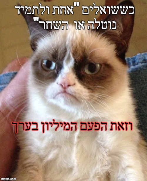 Grumpy Cat Meme | כששואלים "אחת ולתמיד "נוטלה או 
השחר; וזאת הפעם המיליון בערך | image tagged in memes,grumpy cat | made w/ Imgflip meme maker