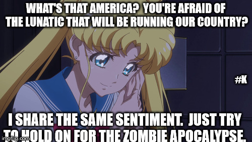 America | WHAT'S THAT AMERICA?  YOU'RE AFRAID OF THE LUNATIC THAT WILL BE RUNNING OUR COUNTRY? #K; I SHARE THE SAME SENTIMENT.  JUST TRY TO HOLD ON FOR THE ZOMBIE APOCALYPSE. | image tagged in sailor moon,election 2016,usagi,election,anime meme,anime | made w/ Imgflip meme maker