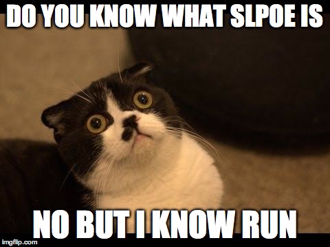 Confused Cats Cake Day | DO YOU KNOW WHAT SLPOE IS; NO BUT I KNOW RUN | image tagged in confused cats cake day | made w/ Imgflip meme maker