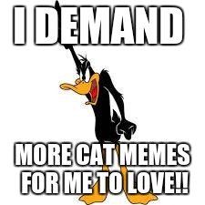I am serious I need cat memes!!! O<O
NEED MOAR CATZZ... ok i will stop I just love cats | I DEMAND; MORE CAT MEMES FOR ME TO LOVE!! | image tagged in daffy duck demanding,more cats,need now,more cat memes | made w/ Imgflip meme maker