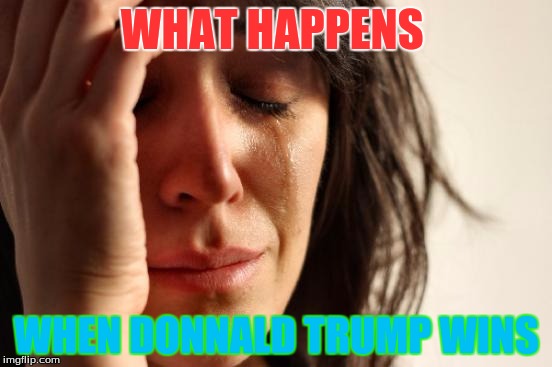 First World Problems Meme | WHAT HAPPENS; WHEN DONNALD TRUMP WINS | image tagged in memes,first world problems | made w/ Imgflip meme maker