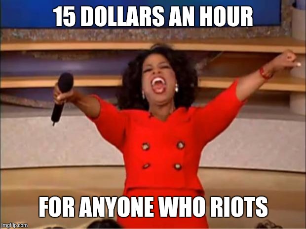 Oprah You Get A Meme | 15 DOLLARS AN HOUR FOR ANYONE WHO RIOTS | image tagged in memes,oprah you get a | made w/ Imgflip meme maker