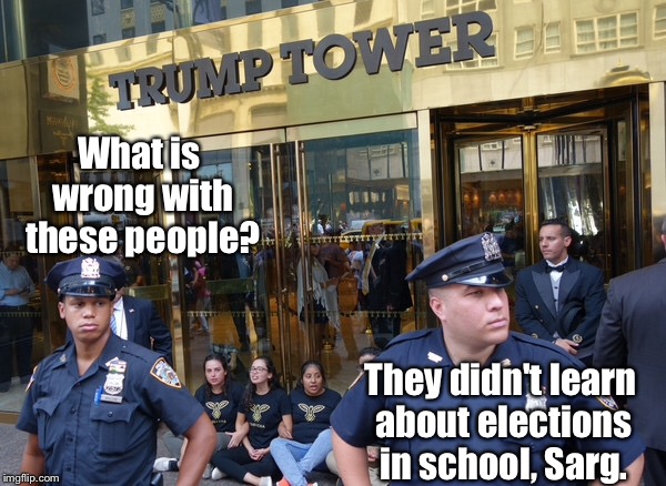 Elections ARE protests & its over | What is wrong with these people? They didn't learn about elections in school, Sarg. | image tagged in memes,post-election,protests,trump tower | made w/ Imgflip meme maker