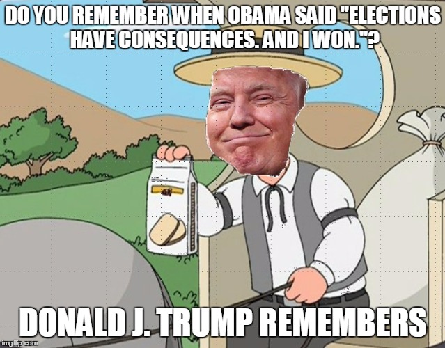 DO YOU REMEMBER WHEN OBAMA SAID "ELECTIONS HAVE CONSEQUENCES. AND I WON."? DONALD J. TRUMP REMEMBERS | image tagged in pepperidge trump | made w/ Imgflip meme maker