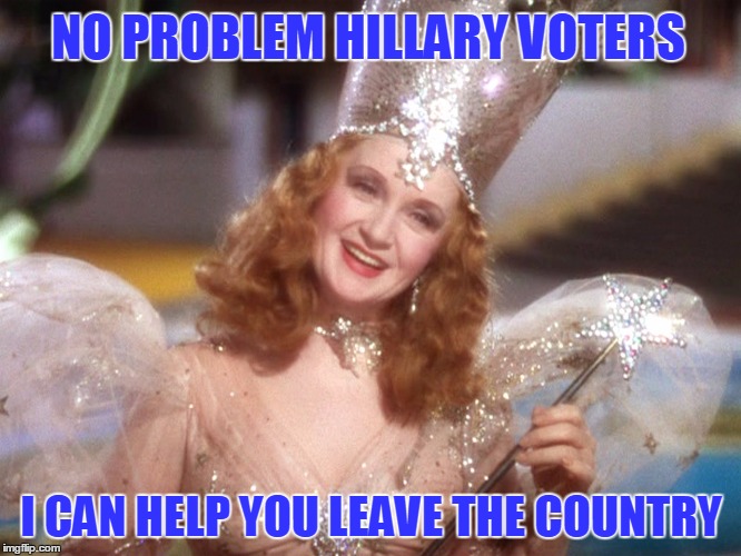 Help for liberals that said they would leave America if trump were elected. | NO PROBLEM HILLARY VOTERS; I CAN HELP YOU LEAVE THE COUNTRY | image tagged in hillary clinton,trump,college liberal,america,election 2016 | made w/ Imgflip meme maker