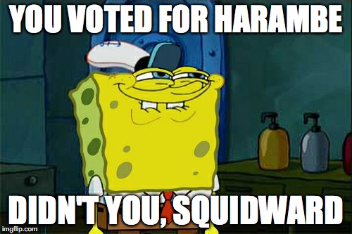 Don't You Squidward Meme | YOU VOTED FOR HARAMBE; DIDN'T YOU, SQUIDWARD | image tagged in memes,dont you squidward | made w/ Imgflip meme maker