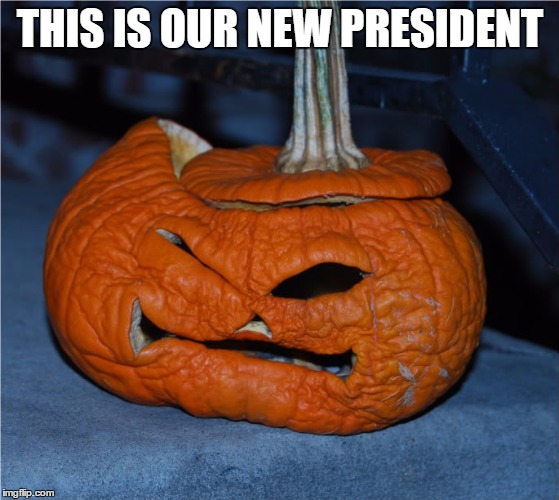 THIS IS OUR NEW PRESIDENT | image tagged in donald trump | made w/ Imgflip meme maker