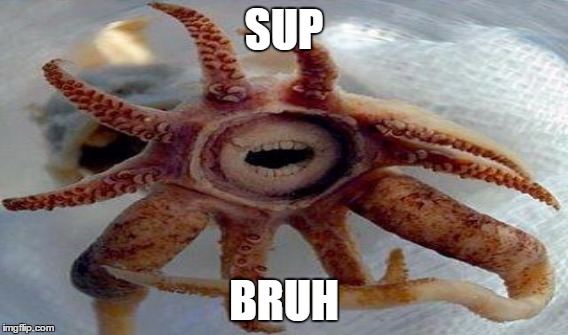 SUP; BRUH | image tagged in octopus | made w/ Imgflip meme maker