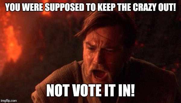 You Were The Chosen One (Star Wars) Meme | YOU WERE SUPPOSED TO KEEP THE CRAZY OUT! NOT VOTE IT IN! | image tagged in memes,you were the chosen one star wars | made w/ Imgflip meme maker