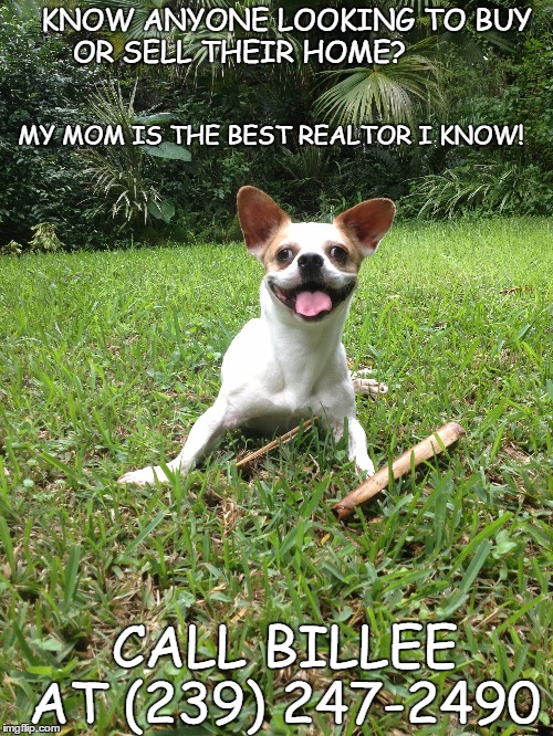   | KNOW ANYONE LOOKING TO BUY OR SELL THEIR HOME? MY MOM IS THE BEST REALTOR I KNOW! CALL BILLEE AT (239) 247-2490 | image tagged in cute puppy,cute dog,real estate | made w/ Imgflip meme maker