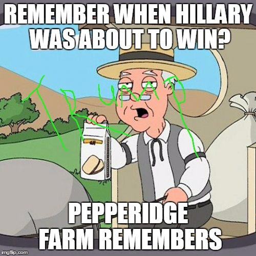 Pepperidge Farm Remembers | REMEMBER WHEN HILLARY WAS ABOUT TO WIN? PEPPERIDGE FARM REMEMBERS | image tagged in memes,pepperidge farm remembers | made w/ Imgflip meme maker