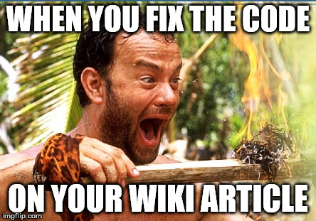 Castaway Fire Meme | WHEN YOU FIX THE CODE; ON YOUR WIKI ARTICLE | image tagged in memes,castaway fire | made w/ Imgflip meme maker