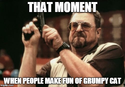 Am I The Only One Around Here | THAT MOMENT; WHEN PEOPLE MAKE FUN OF GRUMPY CAT | image tagged in memes,am i the only one around here | made w/ Imgflip meme maker