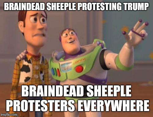 X, X Everywhere | BRAINDEAD SHEEPLE PROTESTING TRUMP; BRAINDEAD SHEEPLE PROTESTERS EVERYWHERE | image tagged in memes,x x everywhere | made w/ Imgflip meme maker