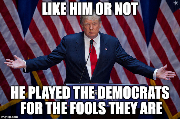 Donald Trump | LIKE HIM OR NOT; HE PLAYED THE DEMOCRATS FOR THE FOOLS THEY ARE | image tagged in donald trump | made w/ Imgflip meme maker