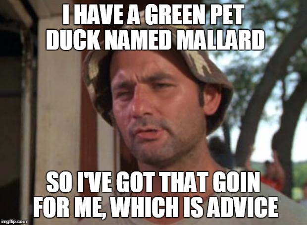 So I Got That Goin For Me Which Is Nice Meme | I HAVE A GREEN PET DUCK NAMED MALLARD; SO I'VE GOT THAT GOIN FOR ME, WHICH IS ADVICE | image tagged in memes,so i got that goin for me which is nice | made w/ Imgflip meme maker