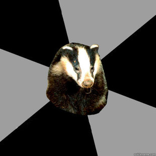 High Quality backstage badger Blank Meme Template