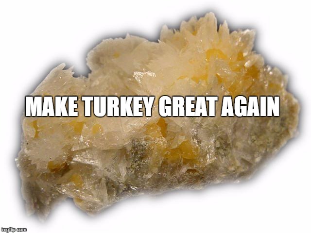 MAKE TURKEY GREAT AGAIN | image tagged in turkey | made w/ Imgflip meme maker
