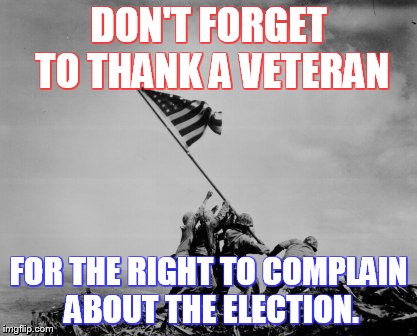 Veterans Day | DON'T FORGET TO THANK A VETERAN; FOR THE RIGHT TO COMPLAIN ABOUT THE ELECTION. | image tagged in veterans day | made w/ Imgflip meme maker