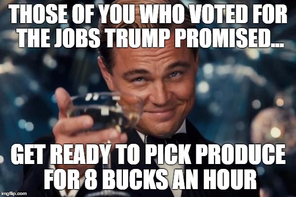 Leonardo Dicaprio Cheers | THOSE OF YOU WHO VOTED FOR THE JOBS TRUMP PROMISED... GET READY TO PICK PRODUCE FOR 8 BUCKS AN HOUR | image tagged in memes,leonardo dicaprio cheers | made w/ Imgflip meme maker
