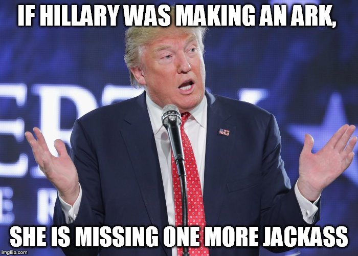 god agrees | IF HILLARY WAS MAKING AN ARK, SHE IS MISSING ONE MORE JACKASS | image tagged in sorry not sorry | made w/ Imgflip meme maker