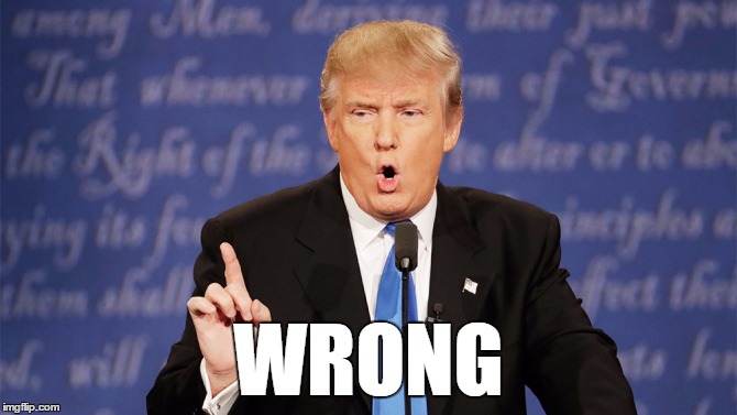 Donald Trump Wrong |  WRONG | image tagged in donald trump wrong,donald,trump,wrong | made w/ Imgflip meme maker