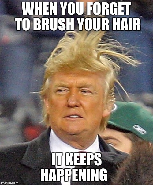 Donald Trumph hair | WHEN YOU FORGET TO BRUSH YOUR HAIR; IT KEEPS HAPPENING | image tagged in donald trumph hair | made w/ Imgflip meme maker