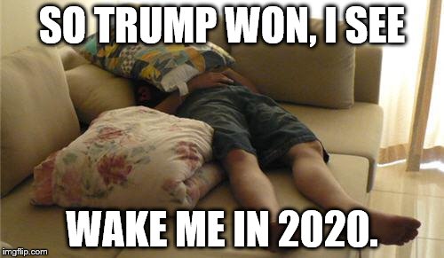 wake me in 2020 | SO TRUMP WON, I SEE; WAKE ME IN 2020. | image tagged in sleeping on couch | made w/ Imgflip meme maker