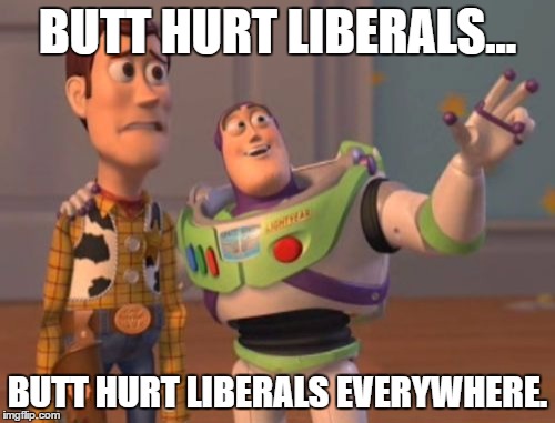 X, X Everywhere | BUTT HURT LIBERALS... BUTT HURT LIBERALS EVERYWHERE. | image tagged in memes,x x everywhere | made w/ Imgflip meme maker