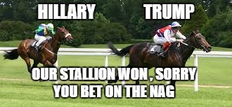 It Was a Horserace!  | HILLARY               TRUMP; OUR STALLION WON , SORRY YOU BET ON THE NAG | image tagged in trump 2016,presidential race | made w/ Imgflip meme maker