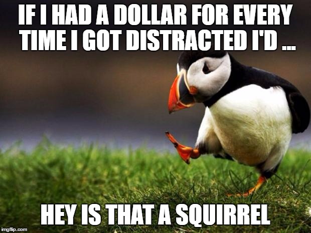 Unpopular Opinion Puffin Meme | IF I HAD A DOLLAR FOR EVERY TIME I GOT DISTRACTED I'D ... HEY IS THAT A SQUIRREL | image tagged in memes,unpopular opinion puffin | made w/ Imgflip meme maker