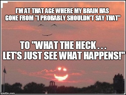That's life, I guess! | I'M AT THAT AGE WHERE MY BRAIN HAS GONE FROM "I PROBABLY SHOULDN'T SAY THAT"; TO "WHAT THE HECK . . . LET'S JUST SEE WHAT HAPPENS!" | image tagged in funny | made w/ Imgflip meme maker