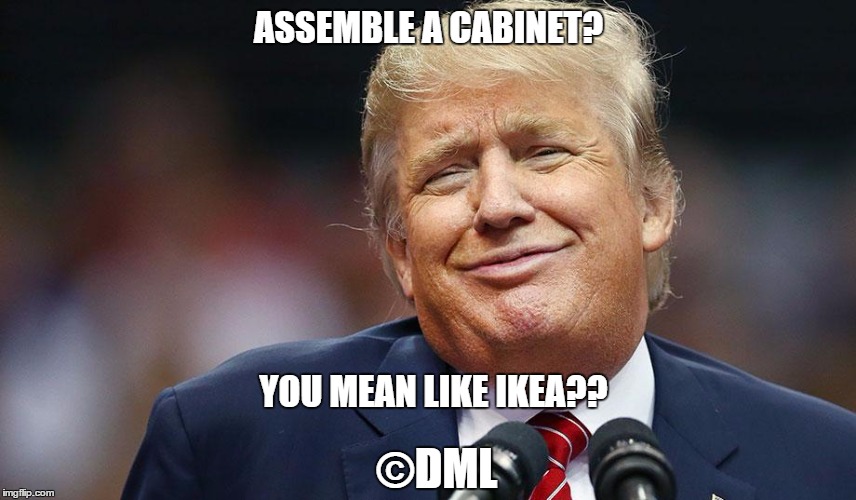 DONALD TRUMP | ASSEMBLE A CABINET? YOU MEAN LIKE IKEA?? ©DML | image tagged in ikea,donald trump,cabinet,government | made w/ Imgflip meme maker