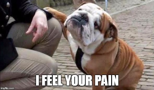 There There Dog | I FEEL YOUR PAIN | image tagged in there there dog | made w/ Imgflip meme maker