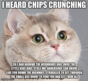 Heavy Breathing Cat Meme | I HEARD CHIPS CRUNCHING; SO I RAN AROUND THE NEIGHBORS DOG, OVER THE LITTLE KIDS BIKE, STOLE MR. ANDERSONS CAR DROVE LIKE YOU DOWN THE HIGHWAY, STRUGGLED TO GET THROUGH THE SMALL ASS DOOR! TO FIND YOU HAD ATE THEM ALL | image tagged in memes,heavy breathing cat | made w/ Imgflip meme maker