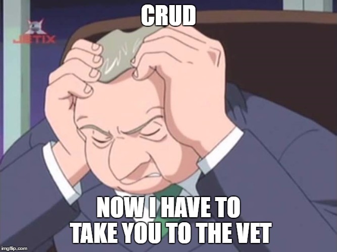 Presidential Facepalm - Sonic X | CRUD NOW I HAVE TO TAKE YOU TO THE VET | image tagged in presidential facepalm - sonic x | made w/ Imgflip meme maker