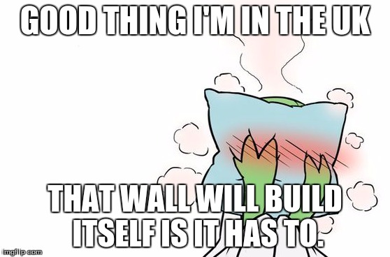 Gardevoir | GOOD THING I'M IN THE UK THAT WALL WILL BUILD ITSELF IS IT HAS TO. | image tagged in gardevoir | made w/ Imgflip meme maker