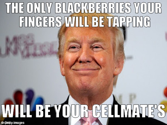 THE ONLY BLACKBERRIES YOUR FINGERS WILL BE TAPPING WILL BE YOUR CELLMATE'S | made w/ Imgflip meme maker