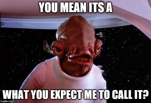 Trap | YOU MEAN ITS A WHAT YOU EXPECT ME TO CALL IT? | image tagged in trap | made w/ Imgflip meme maker