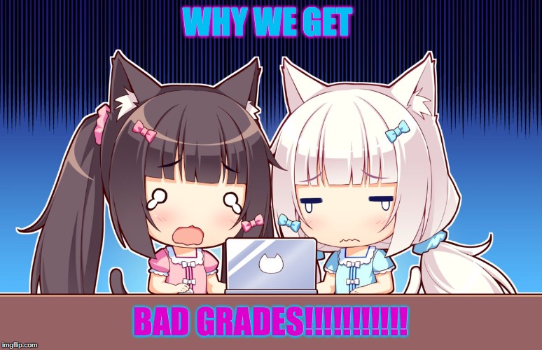 cute anime girls | WHY WE GET; BAD GRADES!!!!!!!!!!! | image tagged in cute anime girls | made w/ Imgflip meme maker