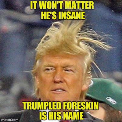 Trumpled Foreskin is His Name | IT WON'T MATTER HE'S INSANE; TRUMPLED FORESKIN IS HIS NAME | image tagged in trumpled,foreskin,is his name,trump,chumpidiot,insane | made w/ Imgflip meme maker