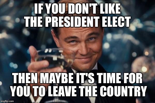 Leonardo Dicaprio Cheers Meme | IF YOU DON'T LIKE THE PRESIDENT ELECT; THEN MAYBE IT'S TIME FOR YOU TO LEAVE THE COUNTRY | image tagged in memes,leonardo dicaprio cheers | made w/ Imgflip meme maker